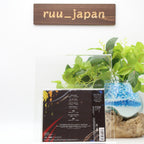 New Chimera Regular Edition CD Japan