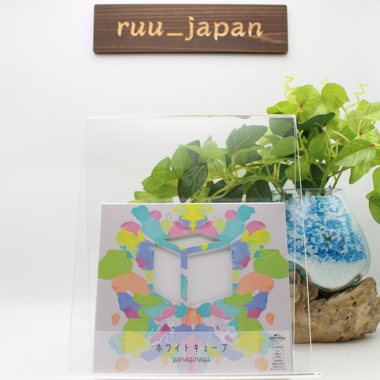 New CD White Cube (Limited Edition 2CD) Japan Yanagi Nagi The Faraway Paladin