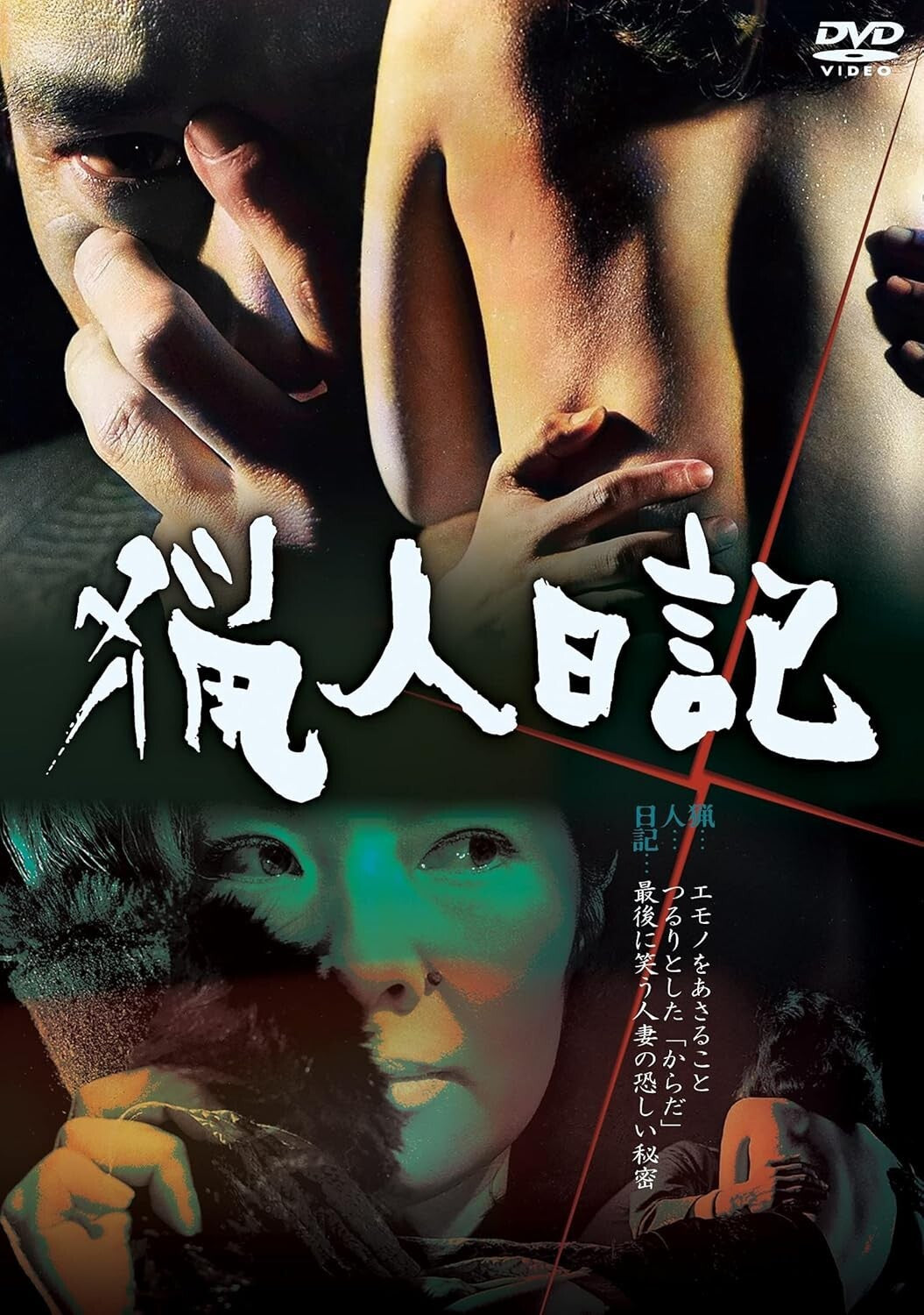 New 中平康 - The Hunters Diary [DVD]