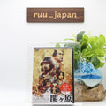 DVD  Sekigahara Region 2 English Subtitles from Japan New