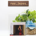 Diana Krall Christmas Songs (SHM-CD) Japan Music CD New