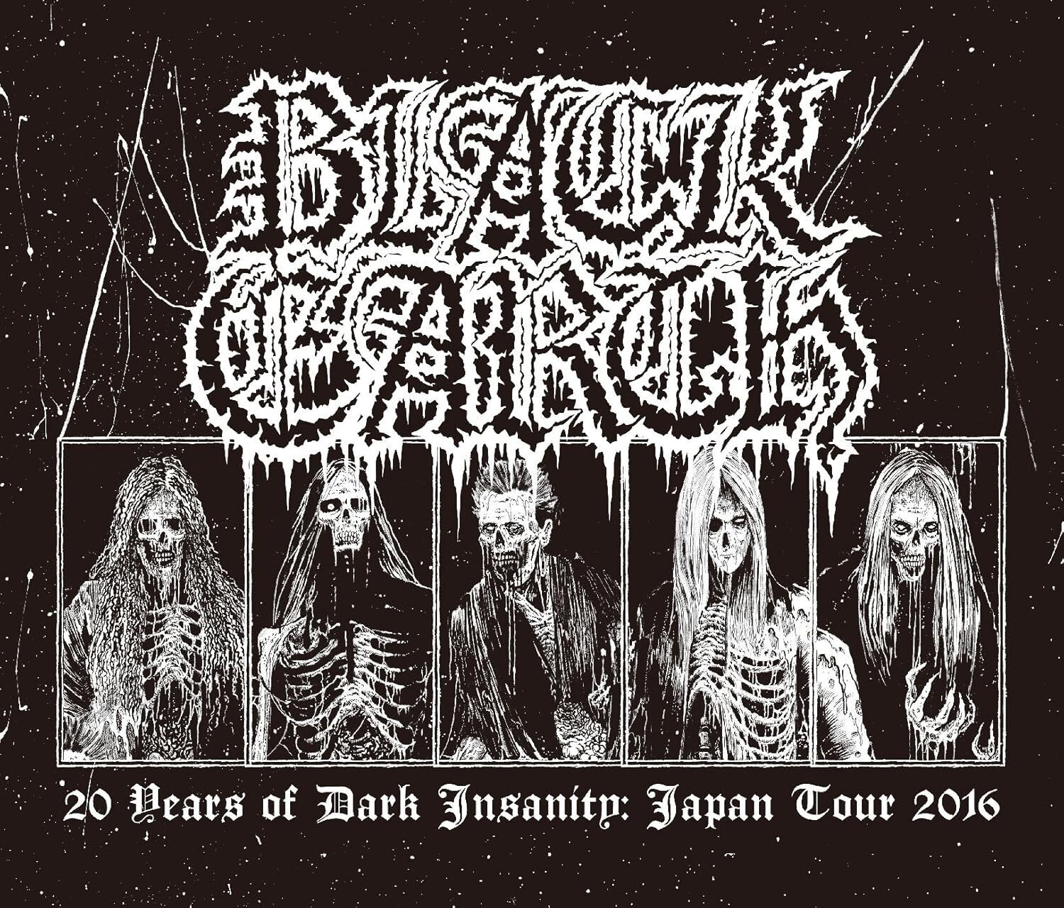 New BLACK EARTH 20 YEARS OF DARK INSANITY: JAPAN TOUR 2016 JAPAN DVD + 2CD ARCH