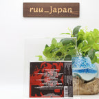 ONE OK ROCK Luxury Disease JAPAN CD Standard Edition New