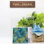 New BUCK-TICK HURRY UP MODE Digital Remastered CD JAPAN