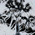 Plastic Tree - Plastic Tree [Regular Edition] CD NEW