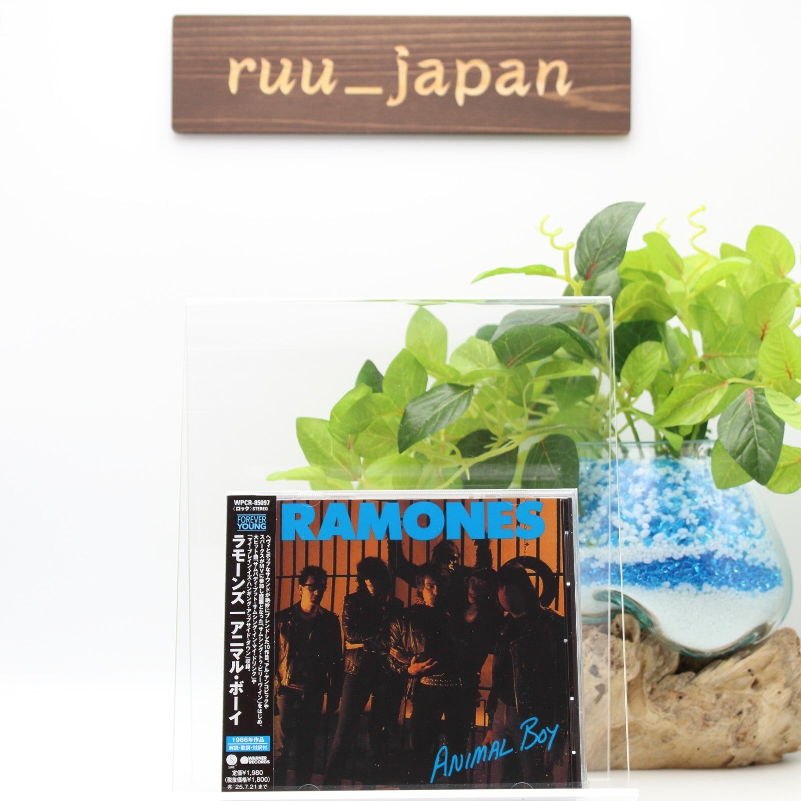 New RAMONES ANIMAL BOY 2025 JAPAN CD