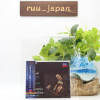 Maurice Gendron J.S.Bach Cello Suites 2 SACD Hybrid From Japan NEW