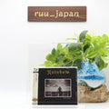 New Rainbow 2 CD(SHM-CD) Finyl Vinyl  Japan OBI