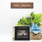 New Rainbow 2 CD(SHM-CD) Finyl Vinyl  Japan OBI