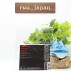 New Brujeria Japan Commemorative Edition Japan Edition 2020 Japan Music CD