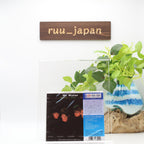 2016 AOR CITY 1000 MR. MISTER WEAR THE FACE JP CD From Japan NEW