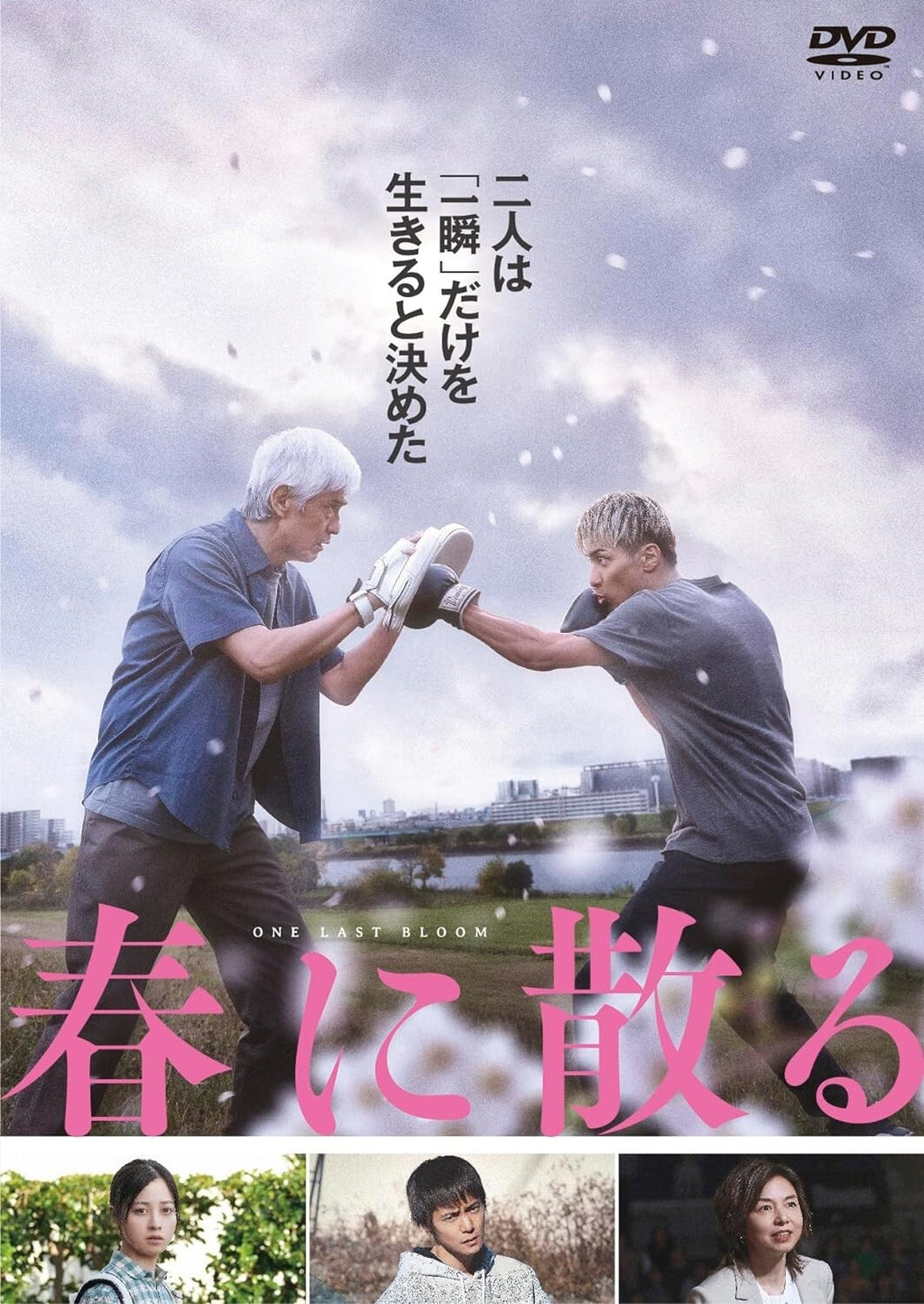Haru ni chiru DVD JAPAN Standard Edition NEW From Japan
