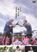 Haru ni chiru DVD JAPAN Standard Edition NEW From Japan