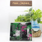 CD Apple of my eye by NEMOPHILA First Limited Edition Japanese Edition