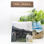 New CD lust Japan REI HARAKAMI Music (1 CD) RINC-100 Album