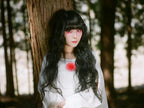CD New DAOKO anima Standard Edition CD TFCC-86716