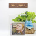 David Bowie CD Hunky Dory Japan NEW