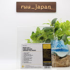 New Buddy Guy Blues CD I Was Walking Through The Woods Japan
