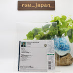 New CARLO MARIA GIULINI-DEBBUSY & RAVEL: ORCHESTRAL WORKS-JAPAN HIFICD