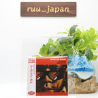 BRENTON WOOD Ooogum Boogum w/ BONUS TRACK   JAPAN MINI LP CD NEW