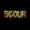 New SCOUR GOLD  2025 JAPAN CD