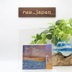 NEMOPHILA EVOLVE First Limited Edition Type B CD Blu-ray Japan new