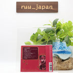New hololive Houshou Marine Ahoy Kimi Tachi Minna Pirates CD Standard Edition