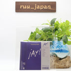 Lucrecia Dalt ¡Ay! Japan Music CD New