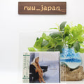 JAPAN MQA UHQ CD DIANA KRALL The Look Of Love  HI-RES Audio New