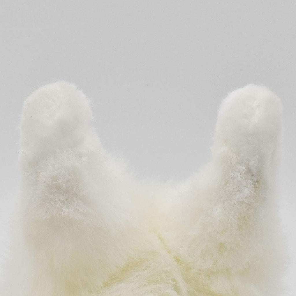 Samoyed Ken No.5267 NEW