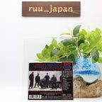 New Body Count Merciless CD JAPAN (2 Bonus Tracks) SICP-6592