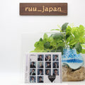 New SEVENTEEN Shohikigen Flash Price Edition CD
