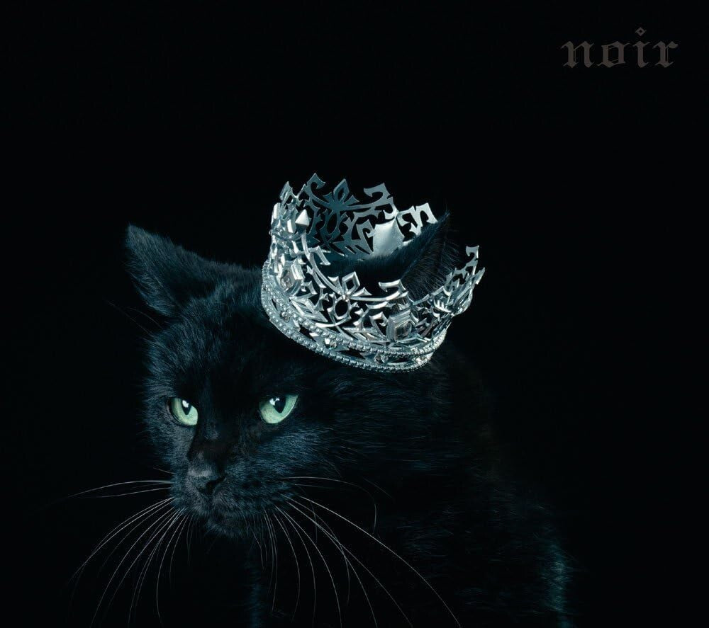 New Aimer BEST SELECTION noir First Limited Edition A CD Blu-ray SECL-2144 Japan