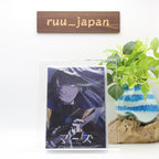 Ado Mars Regular Edition DVD+Booklet 4988031630747 TYBT-10085 Japan New