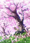 New Shinichiro Ushijima (Director and Screenwriter), Mahiro Takasugi  Blu-ray
