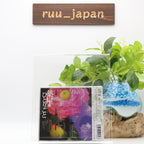 The Apothecary Diaries Original Soundtrack CD Kusuriya no Hitorigoto OST NEW