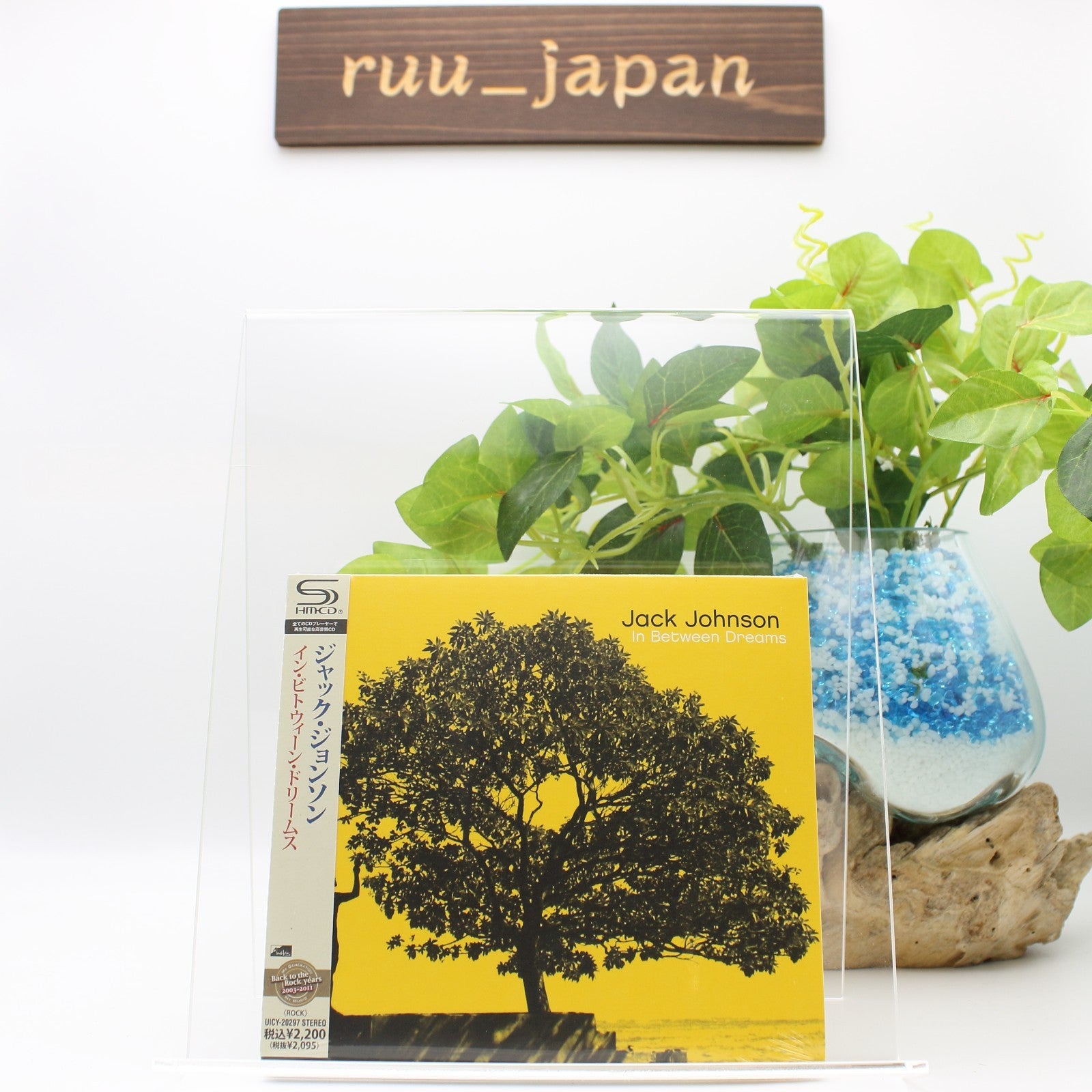 CD Jack Johnson (SHM-CD) In Between Dreams Japan OBI
