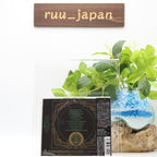 THE HALO EFFECT Days Of The Lost CD New from Japan