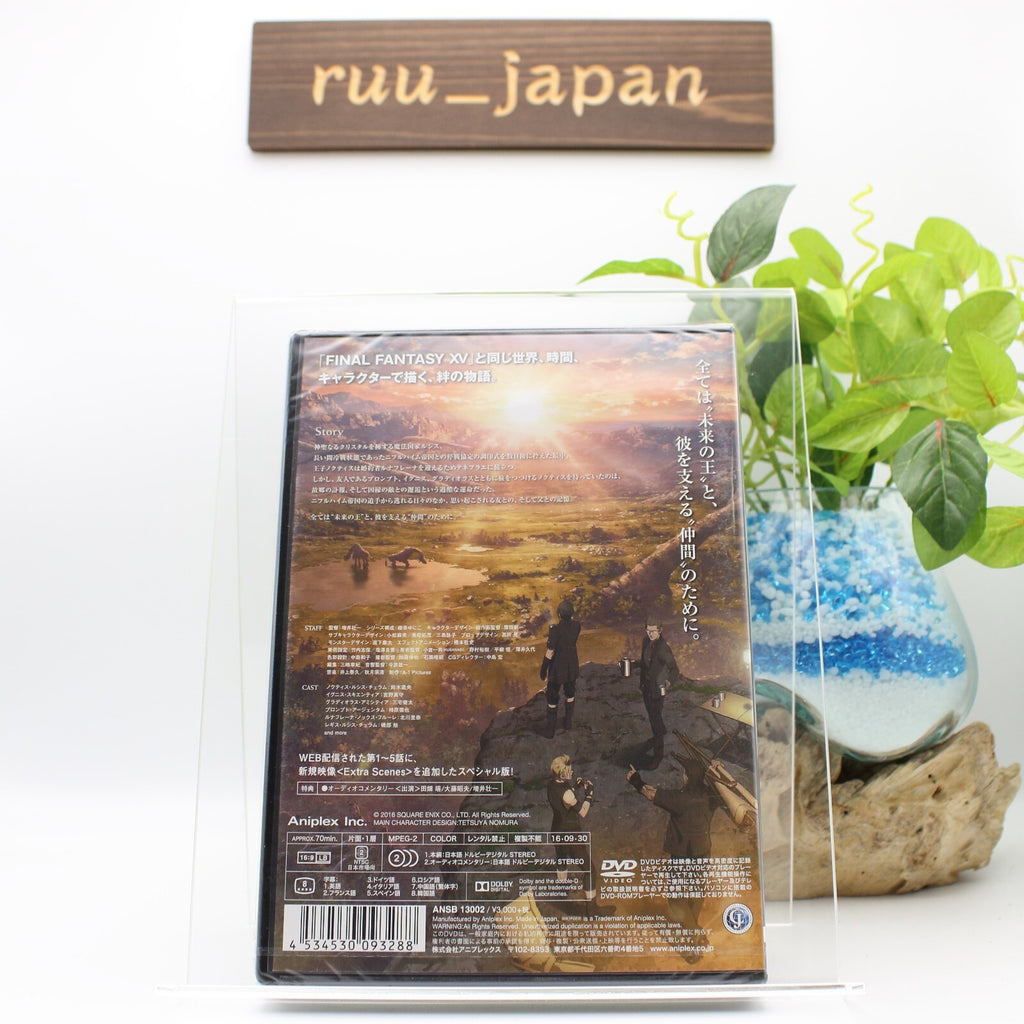 BROTHERHOOD FINAL FANTASY XV DVD Japan English NEW