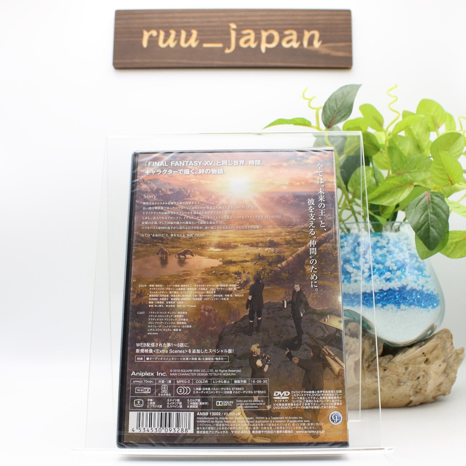 BROTHERHOOD FINAL FANTASY XV DVD Japan English NEW