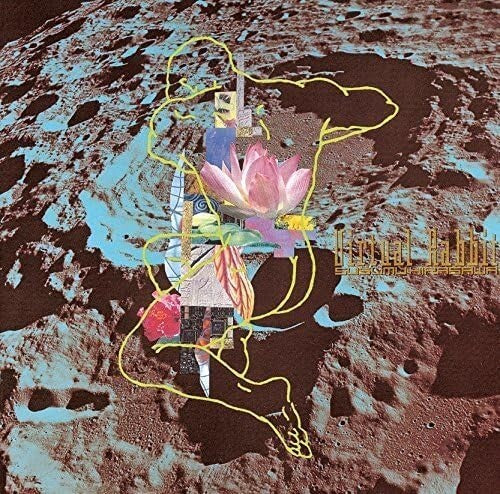 New Susumu Hirasawa-Virtual Rabbit-JAPAN CD 2014
