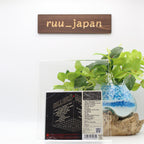 THE KILLERS REBEL DIAMONDS  JAPAN CD NEW