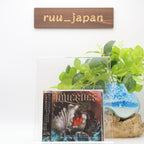 LOVEBITES Five Of A Kind - Live In Tokyo 2020 JAPAN 2CD From Japan New