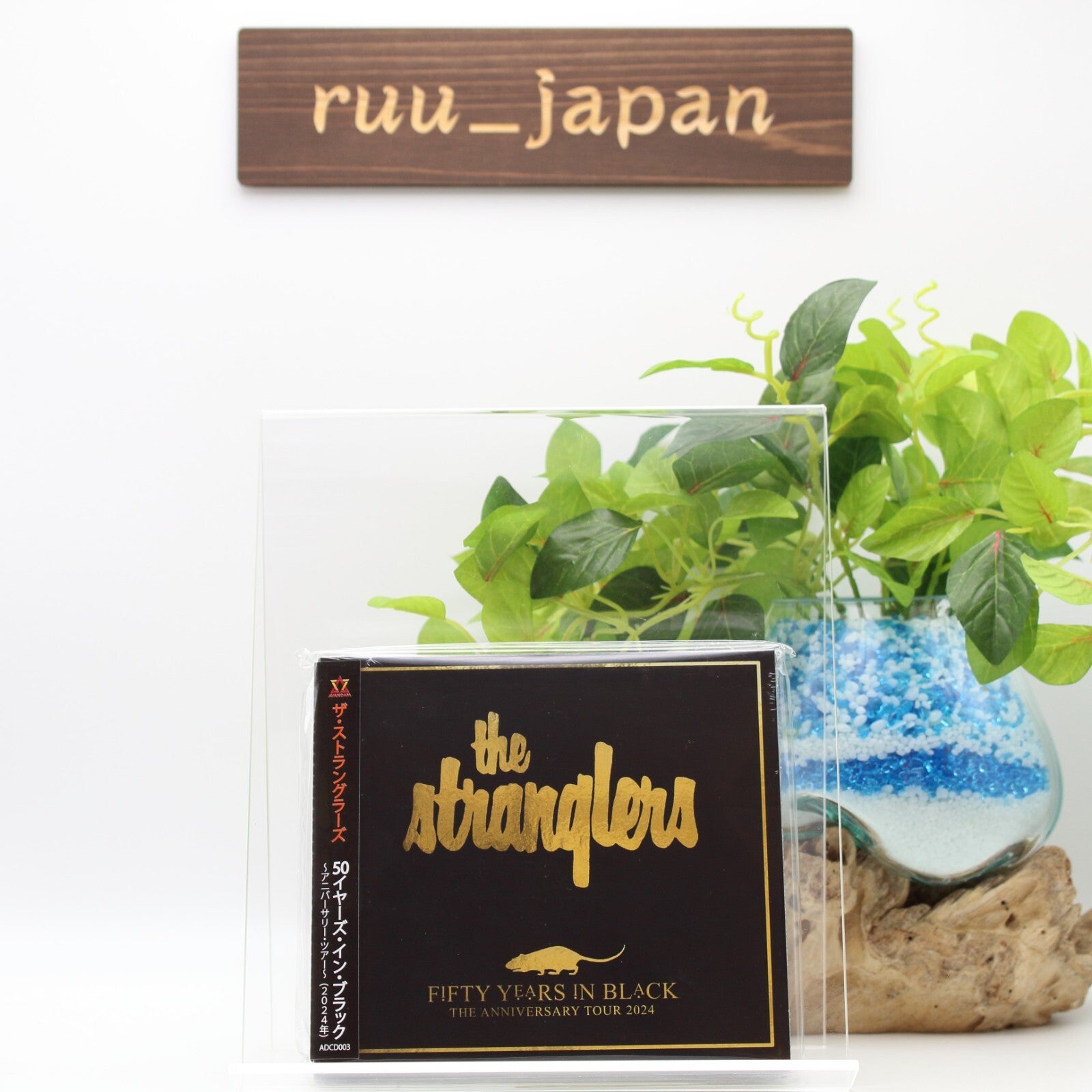 New The Stranglers 50 Years in Black Anniversary Tour 2024 Japan Music CD