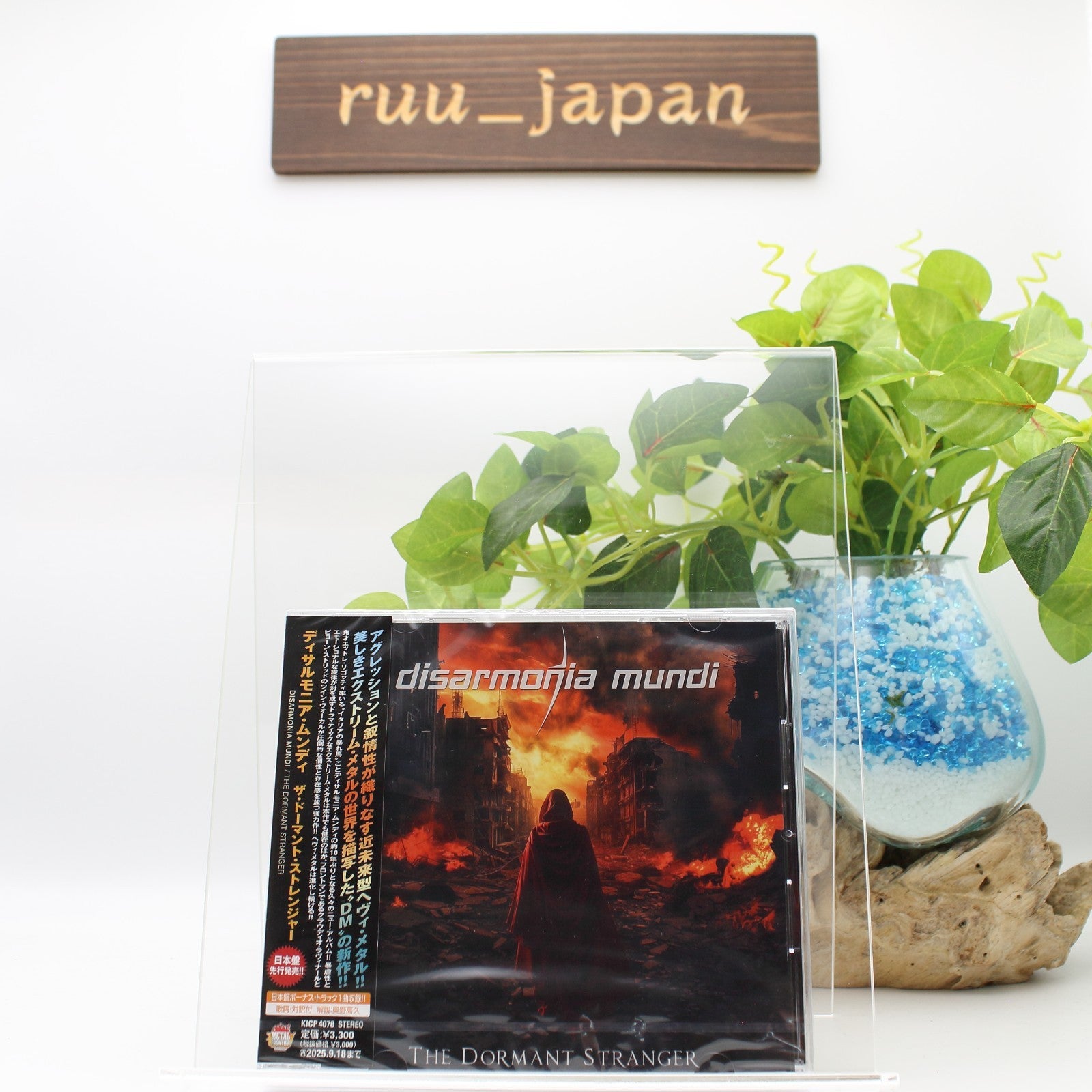 New Disarmonia Mundi Dormant Stranger CD Japan Bonus Track OBI STRIP