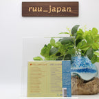 New Light Mellow Searches - Brand New Sprouts CD Obi japan