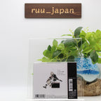 New ReoNa GG (First Limited Edition) JAPAN CD+DVD