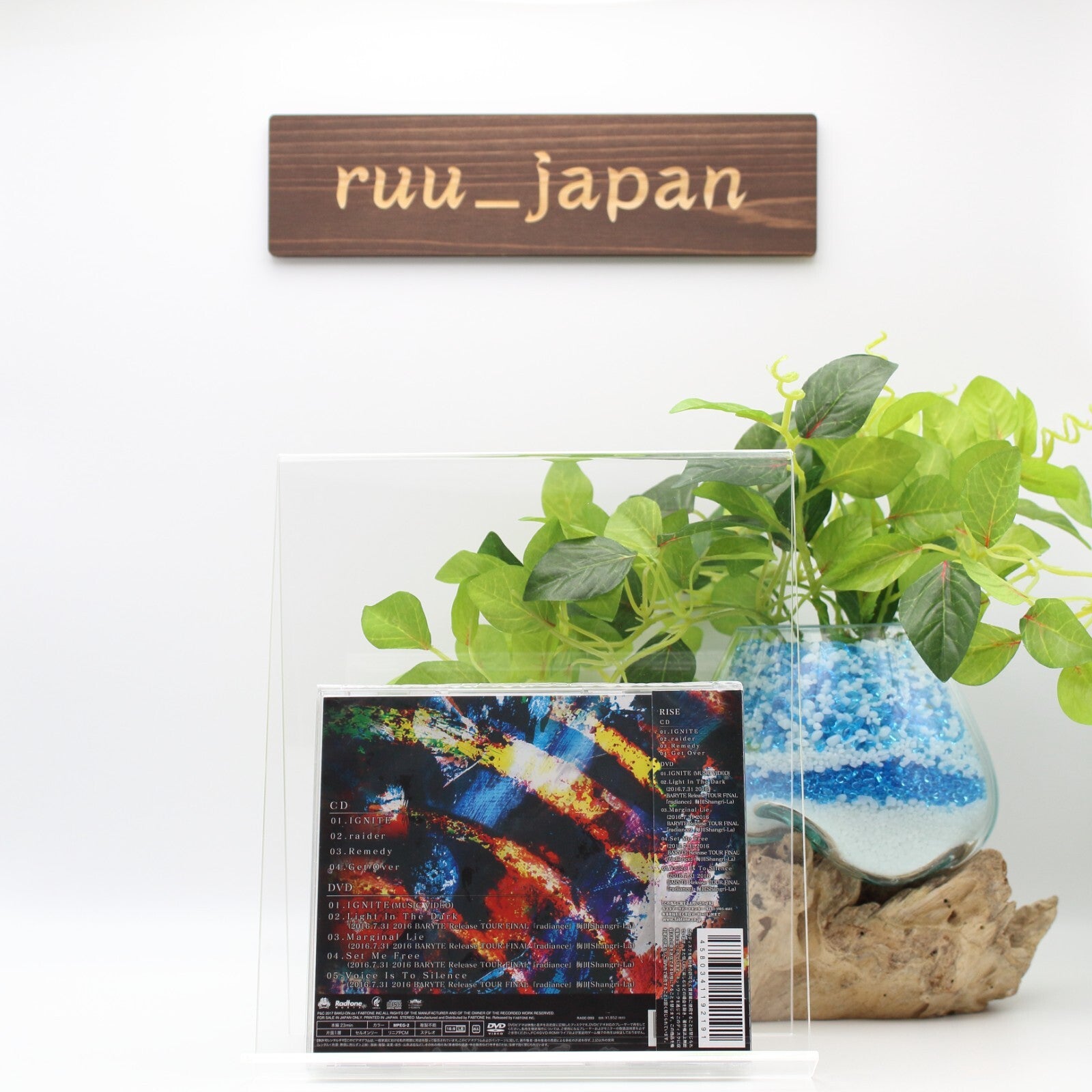 BRIDEAR Rise CD + DVD JAPAN Imperial Circus Dead Decadence Japan Girls H.Metal !
