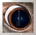 CD New Yorushika Makeinu ni Alcohol wa Iranai Japan J-Rock Rock Music