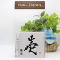 New Yuuri Ichi Regular Edition CD Japan
